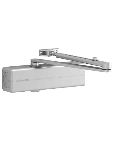 samozamykacz Assa Abloy...