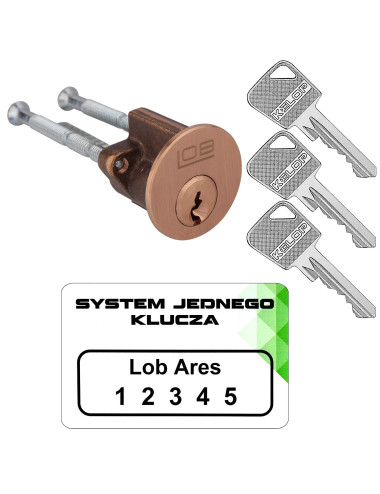 wkładka Lob Ares WT01 RIM...